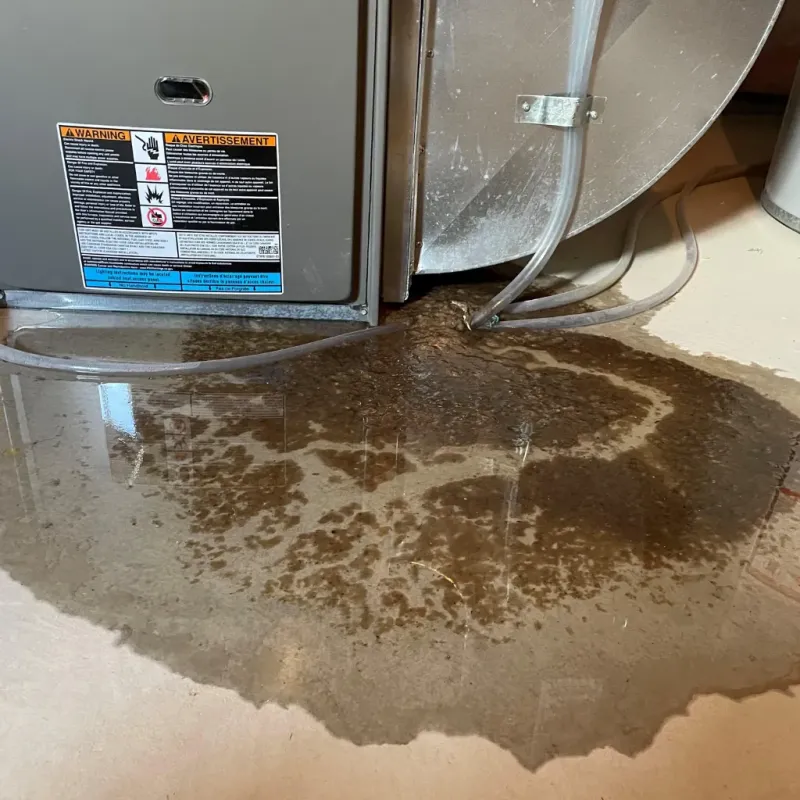 Appliance Leak Cleanup in Laurel Hill, VA